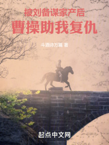 被刘备谋家产后,孟德迎我入曹营