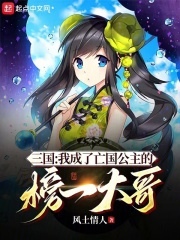 三国:我成了亡国公主的榜一大哥