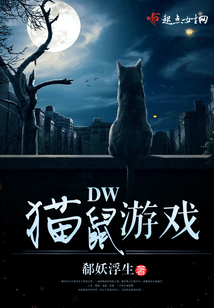 DW猫鼠游戏