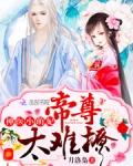 神医小萌妃:帝尊,太难撩!