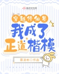 穿越修仙界,我成了正道楷模