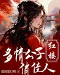 红楼:重生贾环文武双全