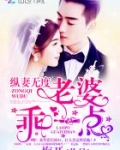 纵妻无度:老婆,乖一点!