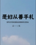 恶妇从善手札